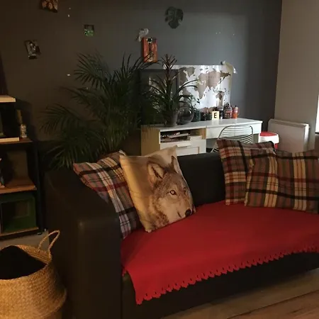 Apartment Appt T2 55 M2 Renove Recemment En Plein Centre Historique De Fd *