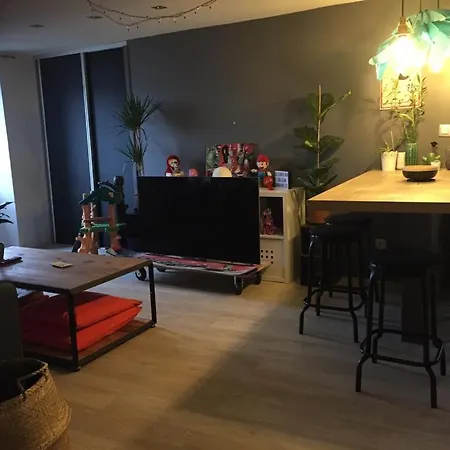 Appt T2 55 M2 Renove Recemment En Plein Centre Historique De Fd *
